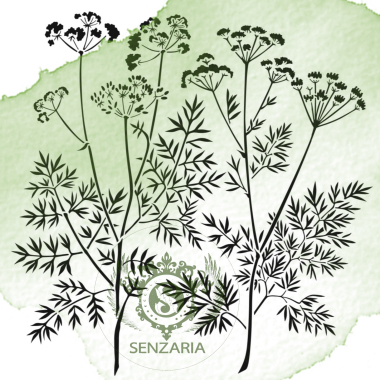 Трафарет - Морковник